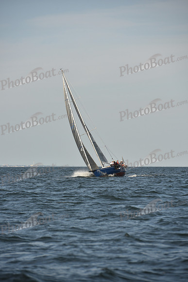 2023 Vineyard Race B_1115