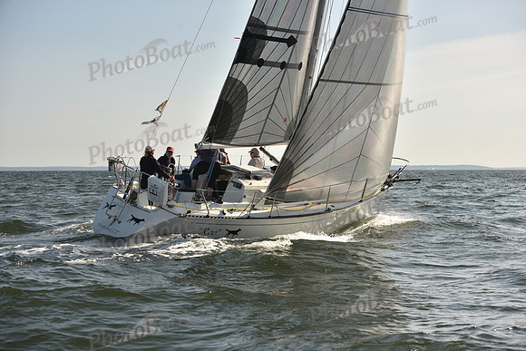 2023 Vineyard Race B_0799