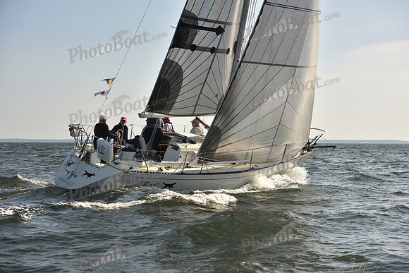 2023 Vineyard Race B_0798