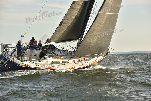 2023 Vineyard Race B_1481