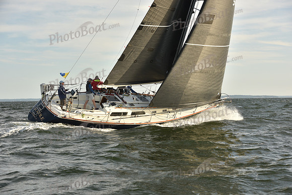 2023 Vineyard Race B_1478