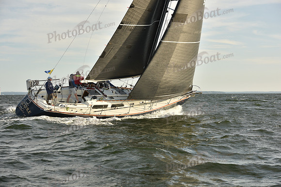 2023 Vineyard Race B_1479