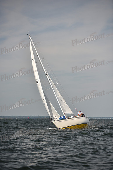 2023 Vineyard Race B_0367