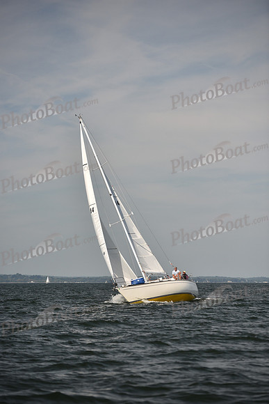 2023 Vineyard Race B_0363