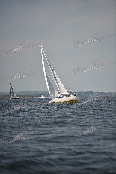 2023 Vineyard Race B_0354