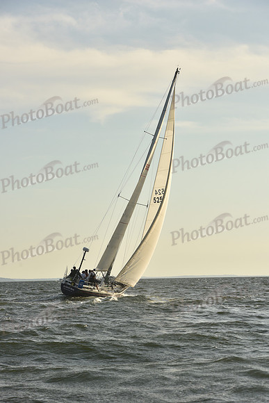 2023 Vineyard Race B_1550
