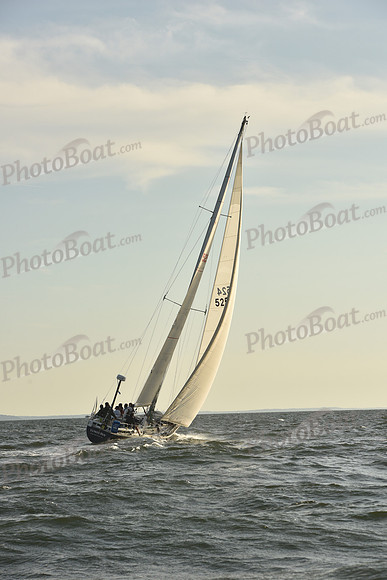 2023 Vineyard Race B_1551