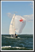 proof_2010_Vineyard_Race_1176