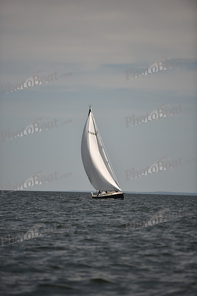 2023 Vineyard Race B_0279