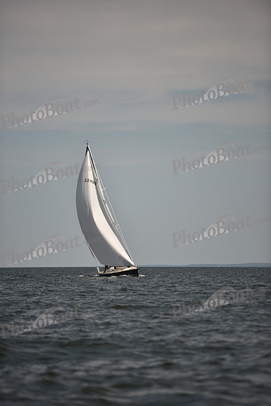 2023 Vineyard Race B_0280