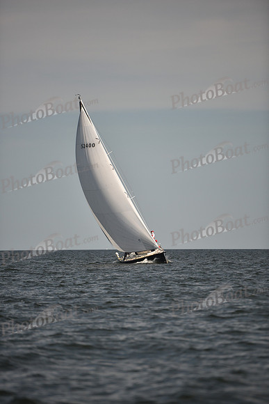 2023 Vineyard Race B_0281