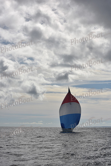 2022 Vineyard Race B_0094