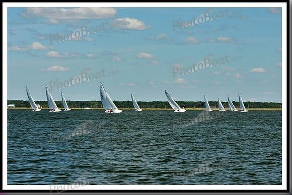 proof_2010_EScows_D 009