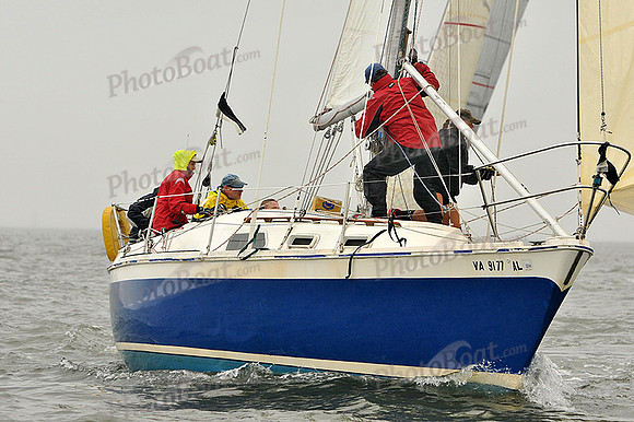 2014 Southern Bay Race Week A 297