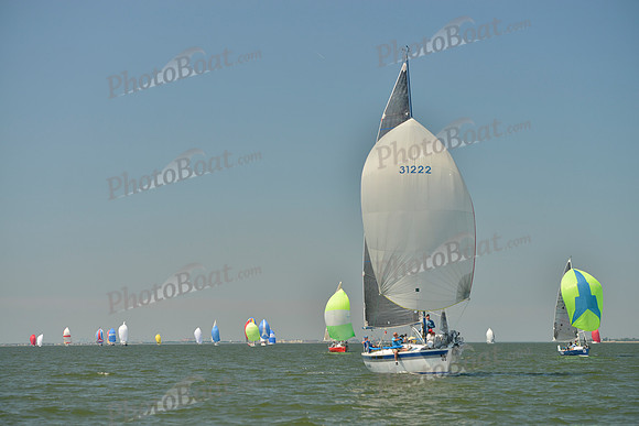2017 Southern Bay Race Week B_0536