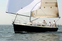2012 Vineyard Race A 290