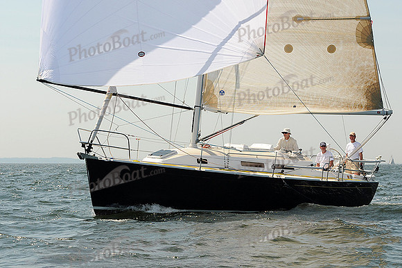 2012 Vineyard Race A 290