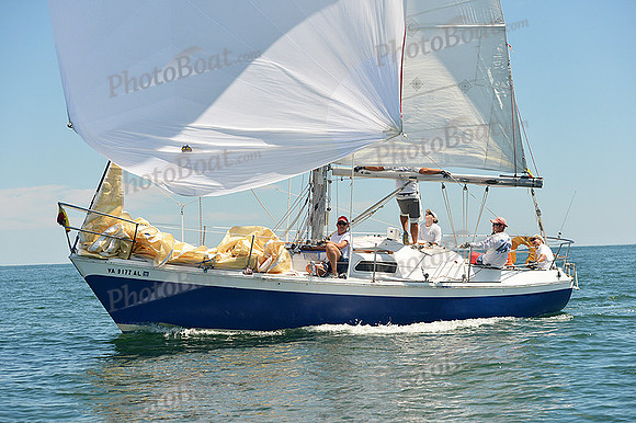 2015 Cape Charles Cup A 643