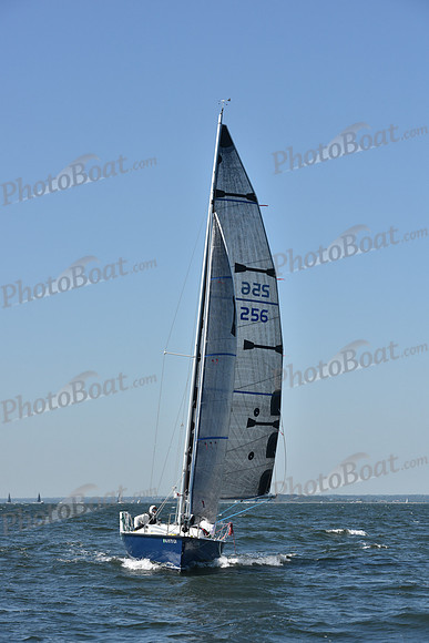 2019 Vineyard Race A_0379