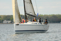 Tiburon
