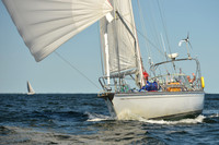 2015 Vineyard Race C 562
