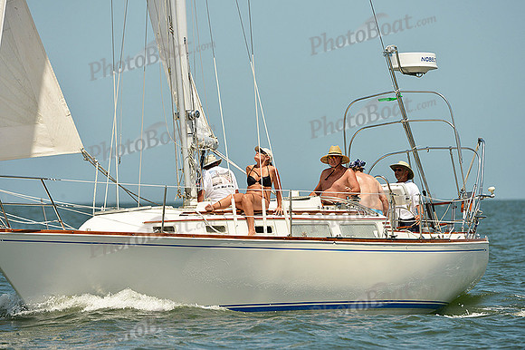 2015 Southern Bay Race Week C 1491