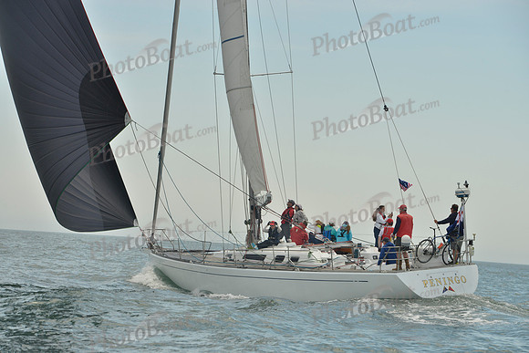 2018 Figawi_2481