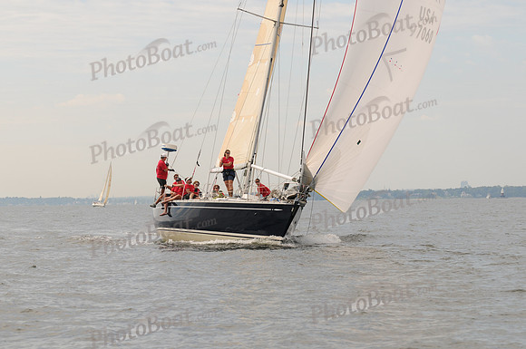 2009 Vineyard Race 484