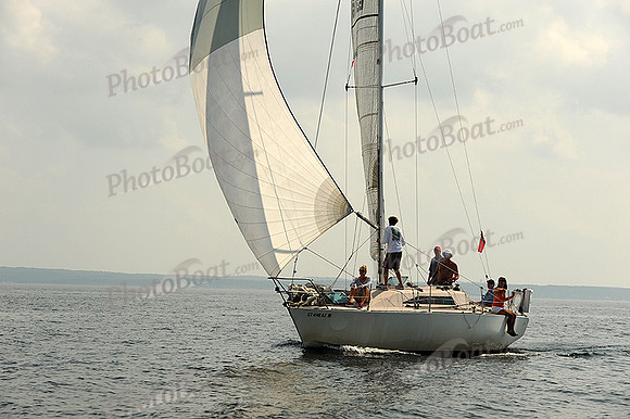 2013 Vineyard Race A 1953