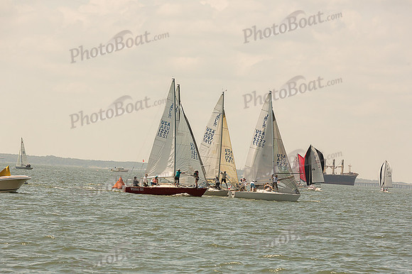 DBP_7537