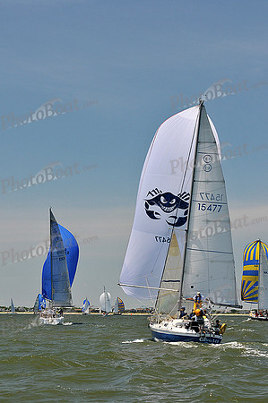2014 Southern Bay Race Week D 1116