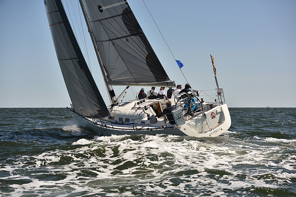 2023 Vineyard Race A_0305