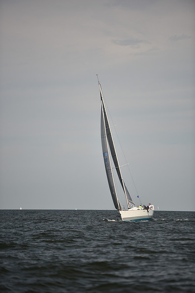 2023 Vineyard Race B_0233