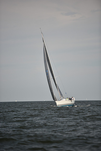 2023 Vineyard Race B_0235