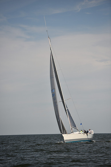 2023 Vineyard Race B_0236