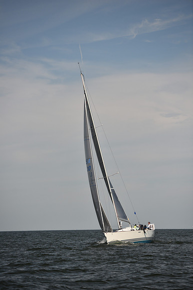 2023 Vineyard Race B_0237