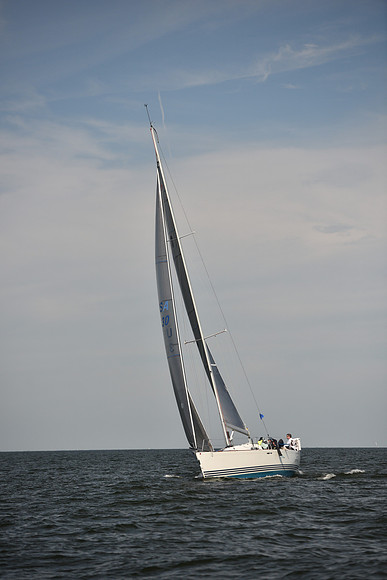 2023 Vineyard Race B_0239