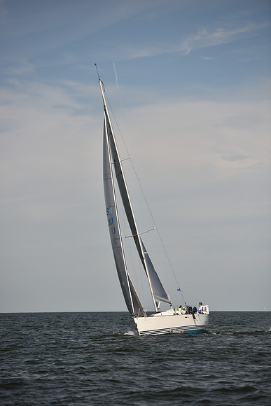 2023 Vineyard Race B_0240