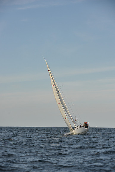 2023 Vineyard Race B_1284
