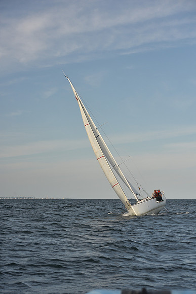 2023 Vineyard Race B_1286