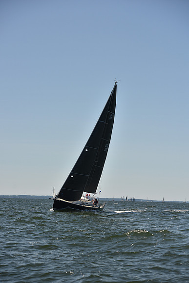 2023 Vineyard Race A_0372