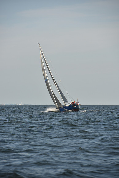 2023 Vineyard Race B_1115