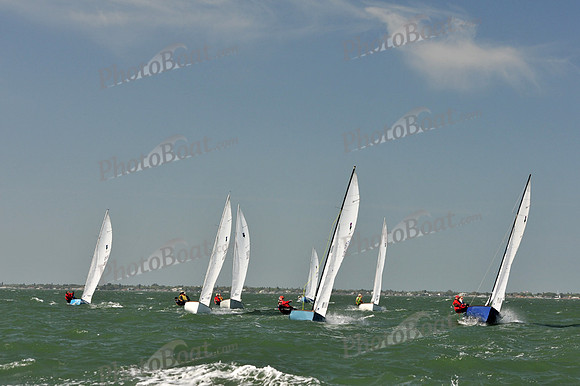 2012 Thistle Midwinters B 779