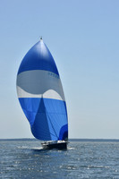 2019 Vineyard Race A_2243