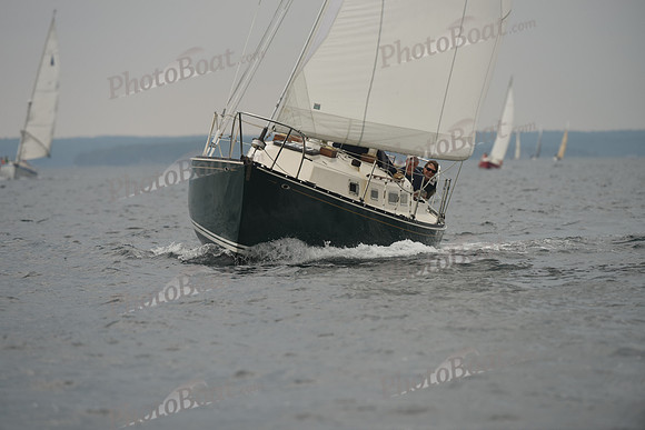 2016 Chester Race Week D_0562
