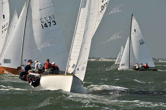 2012 Thistle Midwinters B 542