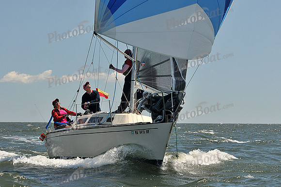 2014 Southern Bay Race Week C 1208