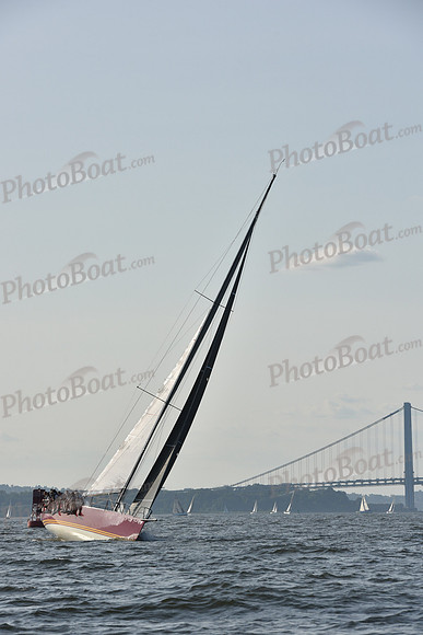 2019 ALIR_1479