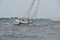 AMC_3233