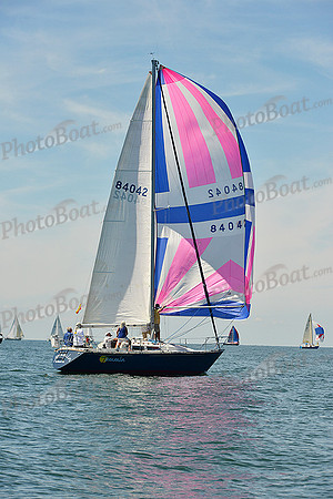 2015 Cape Charles Cup A 741